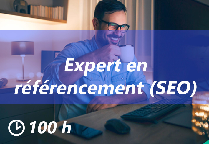 Expert en référencement (SEO)